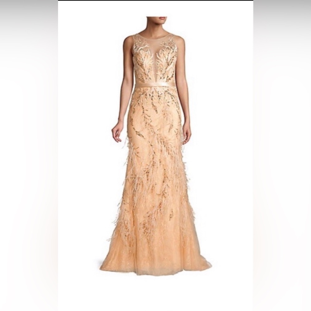 Night gown with a French train.